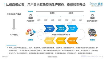 中國(guó)工業(yè)互聯(lián)網(wǎng)數(shù)字化發(fā)展專(zhuān)題分析 數(shù)據(jù)服務(wù)的新藍(lán)海